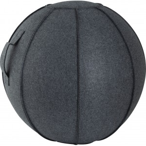 Amila Κάλυμμα Για Μπάλα Γυμναστικής Amila Gymball 75Cm (95887)