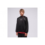 Jordan Therma-Fit Ease Fleece Hoodie (95D567 023)