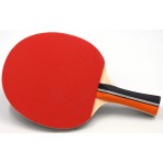 Amila Ρακέτα Ping Pong Sunflex Force C20 (97152)