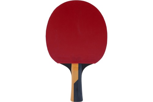 Amila Ρακέτα Ping Pong Butterfly Timo Boll Carbon (97167)