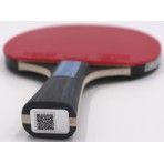 Amila Ρακέτα Ping Pong Butterfly Dimitrij Ovtcharov Sapphire (97168)
