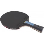 Amila Ρακέτα Ping Pong Butterfly Dimitrij Ovtcharov Sapphire (97168)