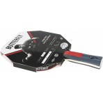 Amila Ρακέτα Ping Pong Butterfly Dimitrij Ovtcharov Ruby (97169)