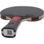 Amila Ρακέτα Ping Pong Butterfly Dimitrij Ovtcharov Ruby (97169)