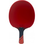 Amila Ρακέτα Ping Pong Butterfly Dimitrij Ovtcharov Black (97173)