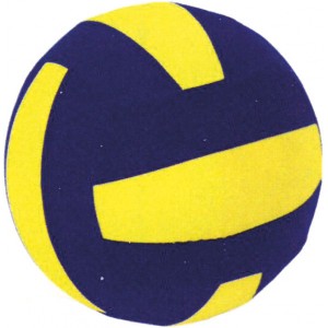 Amila Μπάλα Βόλεϋ Neoprene (99527)