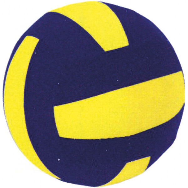 Amila Μπάλα Βόλεϋ Neoprene (99527)