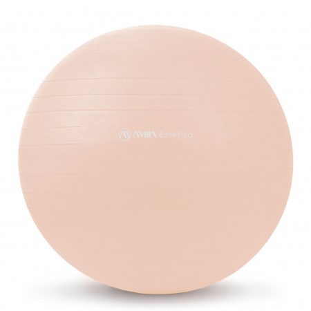 Amila Μπάλα Γυμναστικής Estetica Gym Ball 65 Cm 