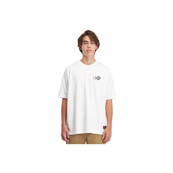 Levi's T-Shirt Ανδρικό (A10050001)