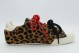 Converse Chuck Taylor Low Leopard Pony Hair Γυναικεία Sneakers Λεοπάρ