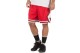 Nike NBA Chicago Bulls Icon Edition Dri-FIT Ανδρική Μπασκετική Βερμούδα Κόκκινη