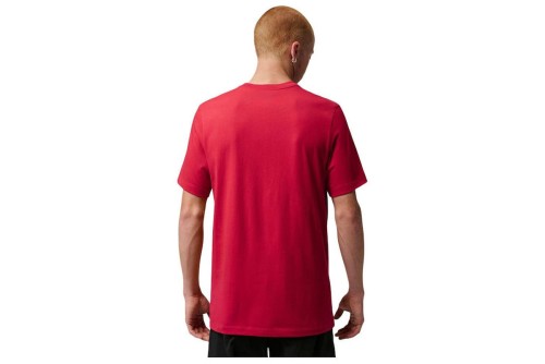 Jordan Jumpman Flight T-Shirt Ανδρικό (AO0664 687)