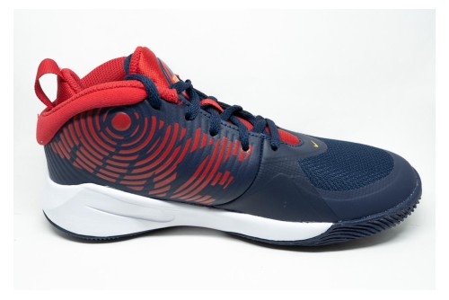Nike Team Hustle D 9 Παπούτσια Για Μπάσκετ (AQ4224 403)