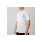 Bee Unusual T-Shirt (AT-251334)