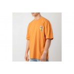 Bee Unusual Flying Duck Oversized T-Shirt Ανδρικό (AT-253351)