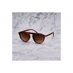 Explicit Poets Carter Γυαλιά Ηλίου (CARTER TORTOISE GRADIENT BROWN)