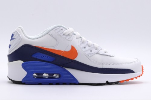 Nike Air Max 90 Ltr Gs Sneakers (CD6864 120)