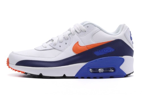 Nike Air Max 90 Ltr Gs Sneakers (CD6864 120)
