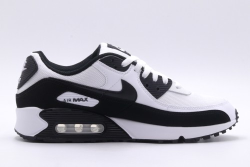 Nike Air Max 90 Sneakers (CN8490 101)