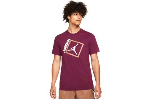 Jordan T-Shirt Fashion Ανδρ (DA9900 610)