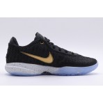 Nike Lebron Xx Παπούτσια Για Μπάσκετ (DJ5423 003)
