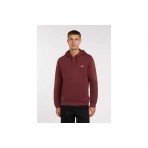 Dickies Oakport Hoodie (DK0A4XCDL161)