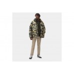 Dickies Oakport Hoodie (DK0A4XCDOGX1)
