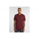 Dickies Mapleton Ss Tee (DK0A4XDBL161)