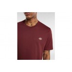 Dickies Mapleton Ss Tee (DK0A4XDBL161)