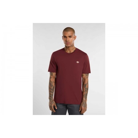 Dickies Mapleton Ss Tee 