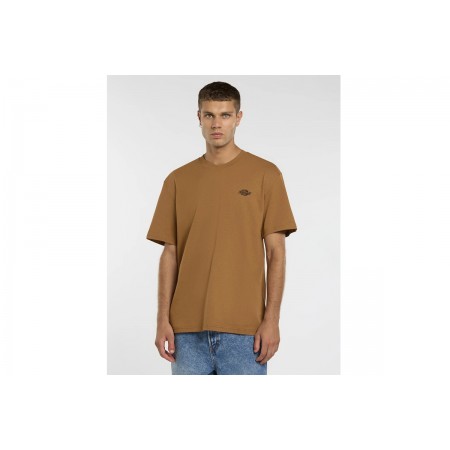 Dickies Summerdale T-Shirt Ανδρικό 