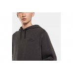 Dickies Christiana Gd Hoodie (DK0A87NQBLK1)