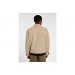 Dickies Painter Jacket Canvas Des (DK0A87O20DS1)