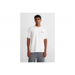 Dickies Burns Tee Ss (DK0A87QIC481)