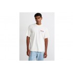Dickies Bolivar Tee Ss (DK0A87QKC481)