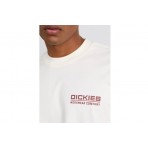 Dickies Bolivar Tee Ss (DK0A87QKC481)