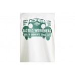 Dickies Gordonsville Tee Ss (DK0A87QUC481)