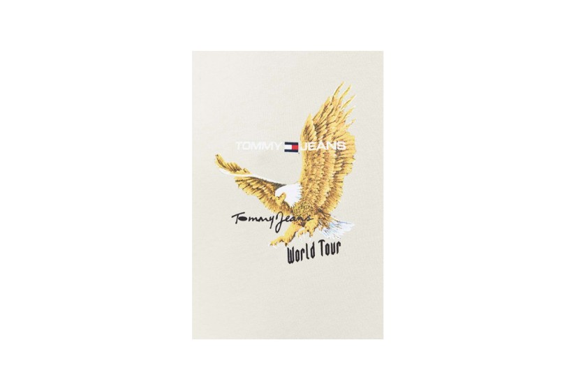 Tommy Jeans Tjm Rlx Vintage Eagle Hoodie Ανδρικό (DM0DM17812 ACG)
