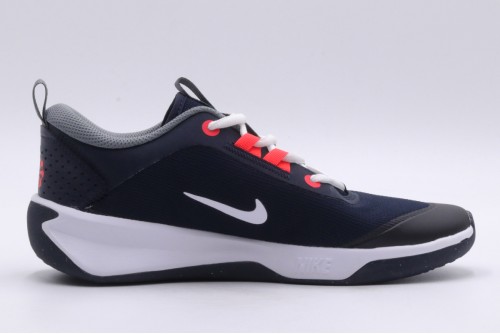 Nike Omni Multi-Court Gs Παπούτσια Για Μπάσκετ (DM9027 402)