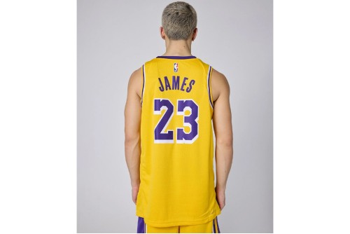 Nike Nba Lebron James Los Angeles Lakers Φανέλα Ομάδας (DN2009 733)