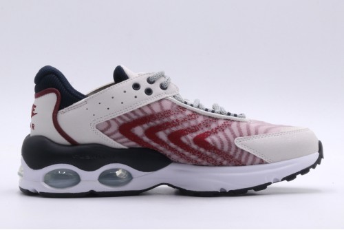 Nike Air Max Tw Gs Sneakers (DQ0296 005)