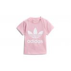 Adidas Originals Trefoil Tee (DV2831)