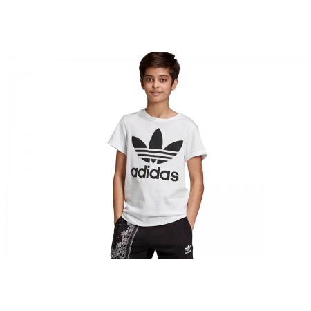 Adidas Originals Trefoil Tee T-Shirt 