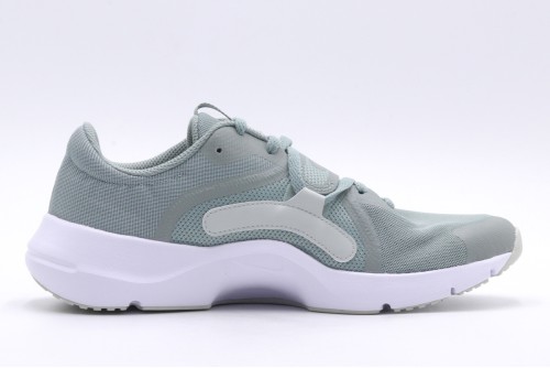 Nike W In-Season Tr 13 Παπούτσια Γυμναστηρίου - Προπόνησης (DV3975 300)