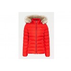 Tommy Jeans Tjw Basic Hooded Down Jacket Μπουφάν Puffer (DW0DW08588 XNL)