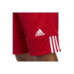 Adidas Performance Βερμούδα Μπασκετική Ανδρική 