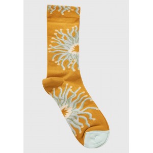 Funky Buddha Kάλτσες Ψηλές 1 Ζευγάρι (FBL011-183-10-MULTI)