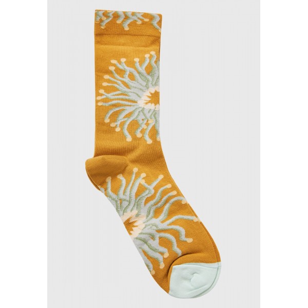 Funky Buddha Kάλτσες Ψηλές 1 Ζευγάρι (FBL011-183-10-MULTI)