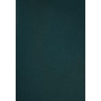 Funky Buddha Γυναικείο Αμάνικο Τοπ Πράσινο