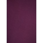 Funky Buddha Γυναικείο Αμάνικο Τοπ Βιολετί